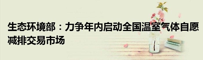 生态环境部:力争年内启动全国温室气体自愿减排交易市场