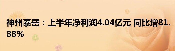 神州泰岳:上半年净利润4.04亿元 同比增81.88%