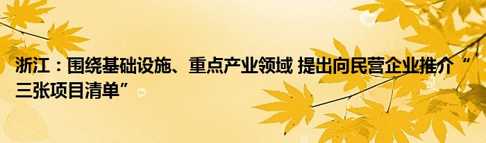 浙江:围绕基础设施、重点产业领域 提出向民营企业推介“三张项目清单”