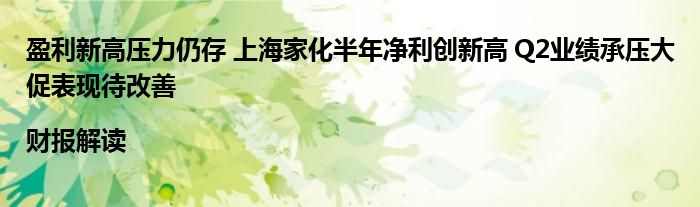 盈利新高压力仍存 上海家化半年净利创新高 Q2业绩承压大促表现待改善|财报解读