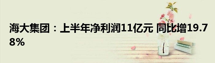 海大集团:上半年净利润11亿元 同比增19.78%