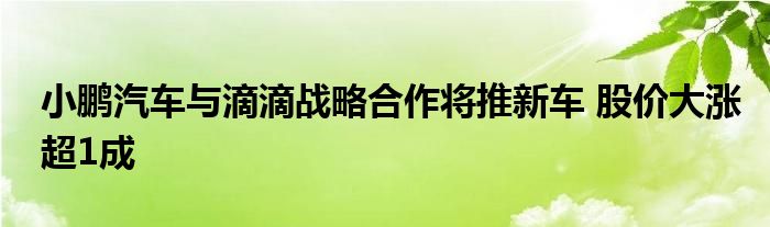 小鹏汽车与滴滴战略合作将推新车 股价大涨超1成