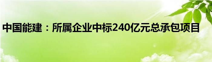 中国能建:所属企业中标240亿元总承包项目