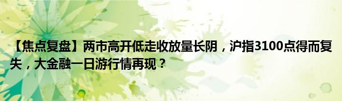 【焦点复盘】两市高开低走收放量长阴,沪指3100点得而复失,大金融一日游行情再现?