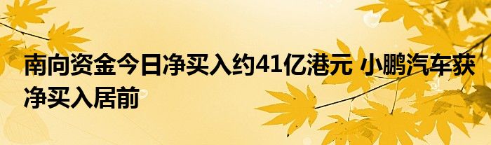 南向资金今日净买入约41亿港元 小鹏汽车获净买入居前