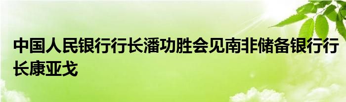 中国人民银行行长潘功胜会见南非储备银行行长康亚戈