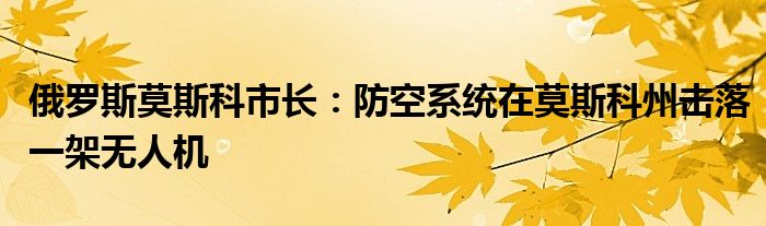 俄罗斯莫斯科市长:防空系统在莫斯科州击落一架无人机