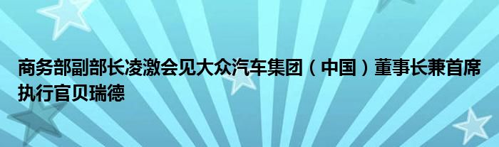 商务部副部长凌激会见大众汽车集团(中国)董事长兼首席执行官贝瑞德