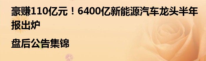 豪赚110亿元!6400亿新能源汽车龙头半年报出炉|盘后公告集锦