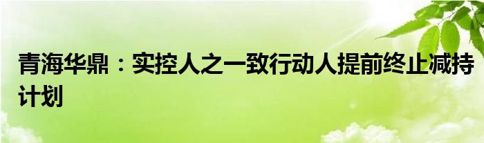 青海华鼎：实控人之一致行动人提前终止减持计划