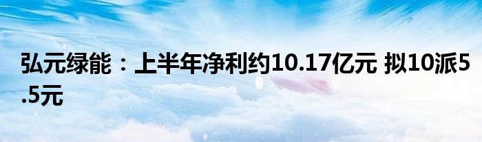 弘元绿能:上半年净利约10.17亿元 拟10派5.5元