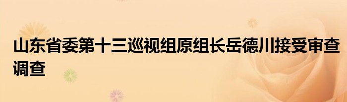 山东省委第十三巡视组原组长岳德川接受审查调查