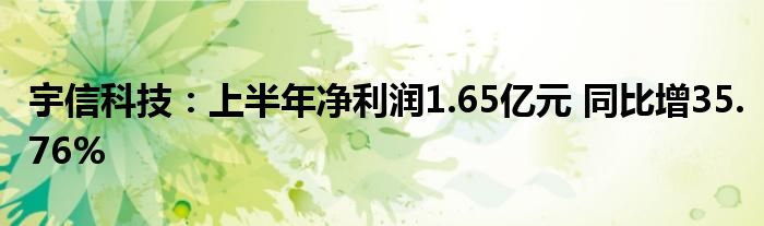 宇信科技:上半年净利润1.65亿元 同比增35.76%
