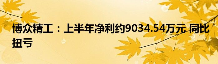 博众精工:上半年净利约9034.54万元 同比扭亏