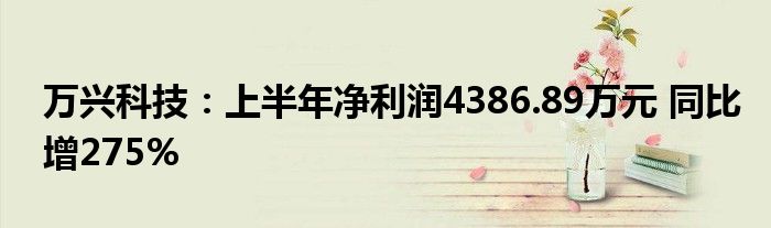 万兴科技:上半年净利润4386.89万元 同比增275%