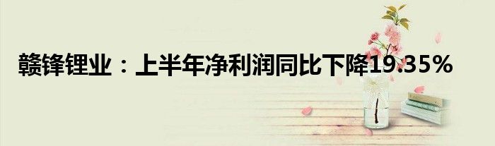 赣锋锂业：上半年净利润同比下降19.35%