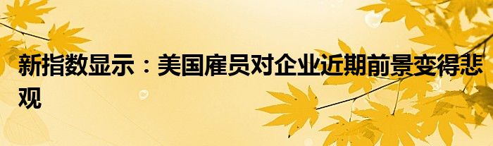 新指数显示:美国雇员对企业近期前景变得悲观