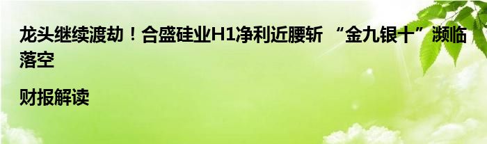 龙头继续渡劫!合盛硅业H1净利近腰斩 “金九银十”濒临落空|财报解读
