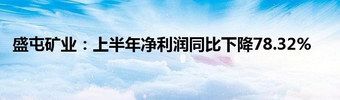 盛屯矿业：上半年净利润同比下降78.32%