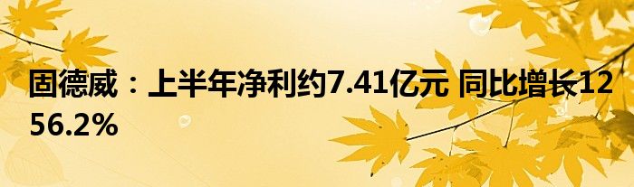 固德威:上半年净利约7.41亿元 同比增长1256.2%