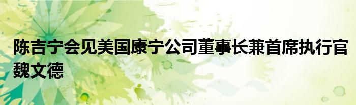 陈吉宁会见美国康宁公司董事长兼首席执行官魏文德