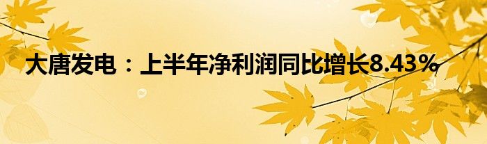 大唐发电:上半年净利润同比增长8.43%