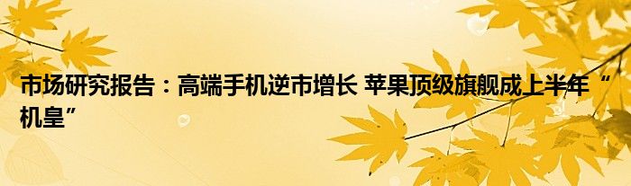 市场研究报告：高端手机逆市增长 苹果顶级旗舰成上半年“机皇”