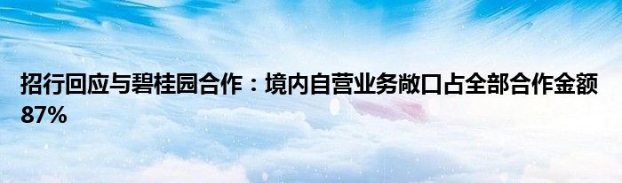 招行回应与碧桂园合作:境内自营业务敞口占全部合作金额87%