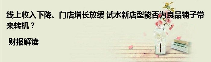 线上收入下降、门店增长放缓 试水新店型能否为良品铺子带来转机?| 财报解读