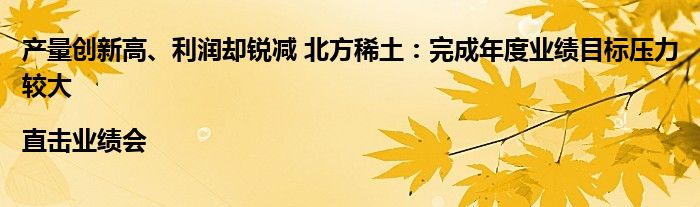 产量创新高、利润却锐减 北方稀土:完成年度业绩目标压力较大|直击业绩会