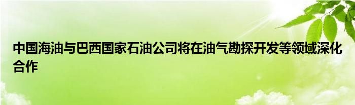 中国海油与巴西国家石油公司将在油气勘探开发等领域深化合作