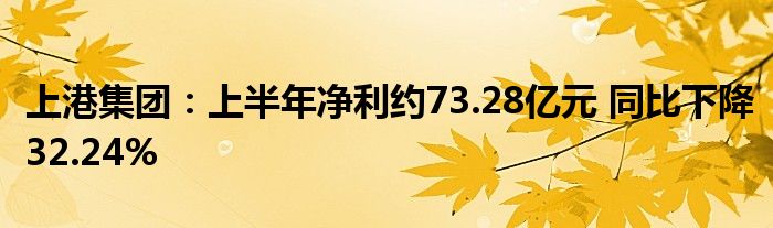 上港集团:上半年净利约73.28亿元 同比下降32.24%