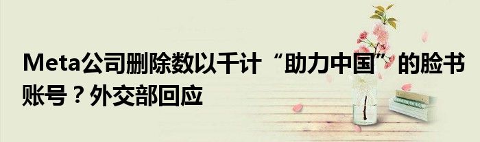 Meta公司删除数以千计“助力中国”的脸书账号?外交部回应