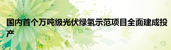 国内首个万吨级光伏绿氢示范项目全面建成投产