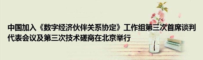 中国加入《数字经济伙伴关系协定》工作组第三次首席谈判代表会议及第三次技术磋商在北京举行