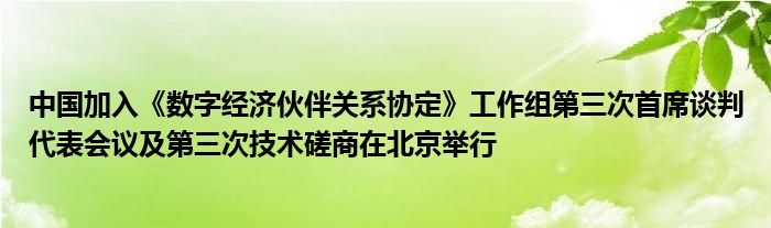 中国加入《数字经济伙伴关系协定》工作组第三次首席谈判代表会议及第三次技术磋商在北京举行