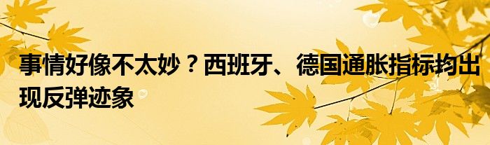 事情好像不太妙?西班牙、德国通胀指标均出现反弹迹象