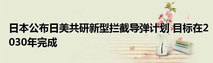 日本公布日美共研新型拦截导弹计划 目标在2030年完成