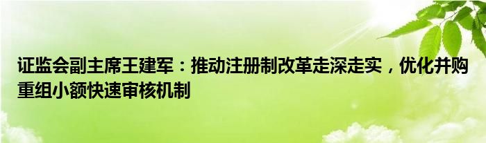 证监会副主席王建军:推动注册制改革走深走实,优化并购重组小额快速审核机制
