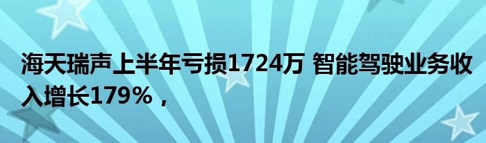 海天瑞声上半年亏损1724万 智能驾驶业务收入增长179%,