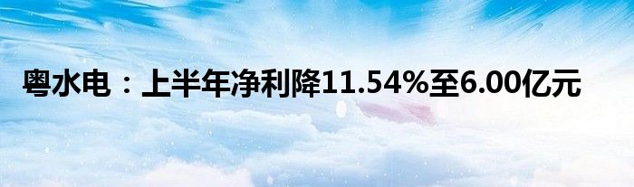 粤水电:上半年净利降11.54%至6.00亿元