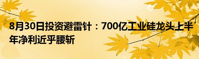 8月30日投资避雷针:700亿工业硅龙头上半年净利近乎腰斩