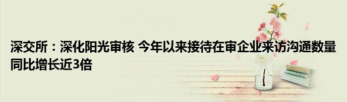 深交所:深化阳光审核 今年以来接待在审企业来访沟通数量同比增长近3倍