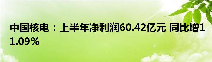 中国核电:上半年净利润60.42亿元 同比增11.09%