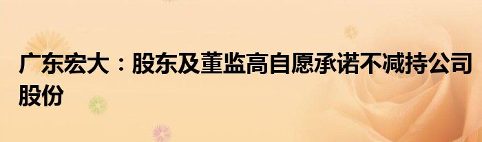 广东宏大:股东及董监高自愿承诺不减持公司股份
