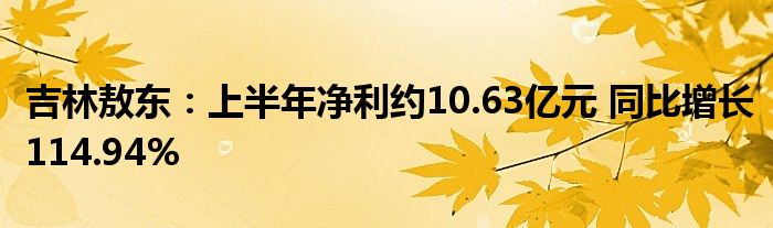 吉林敖东:上半年净利约10.63亿元 同比增长114.94%