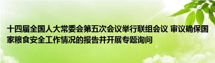 十四届全国人大常委会第五次会议举行联组会议 审议确保国家粮食安全工作情况的报告并开展专题询问
