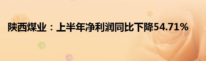 陕西煤业：上半年净利润同比下降54.71%