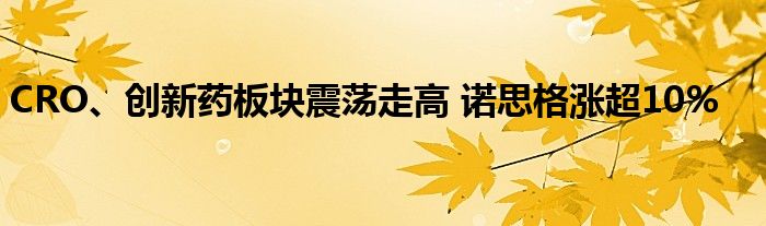 CRO、创新药板块震荡走高 诺思格涨超10%