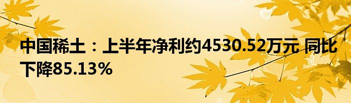 中国稀土:上半年净利约4530.52万元 同比下降85.13%